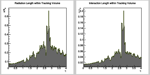 Material in tracking volume